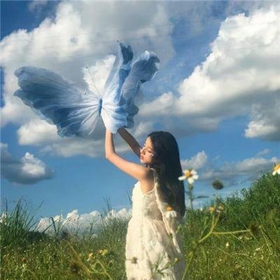 美国来的莫里斯